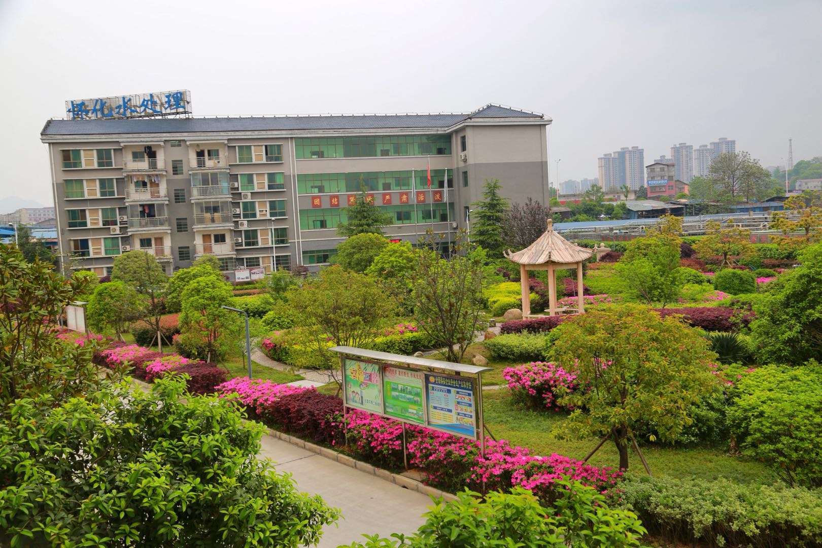 1588040282573717.jpg 1588040282573717.jpg